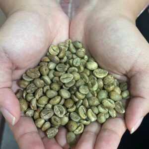 Java Robusta Temanggung Green Bean (1 kg)